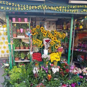 Meet your Posher, Elizabeth